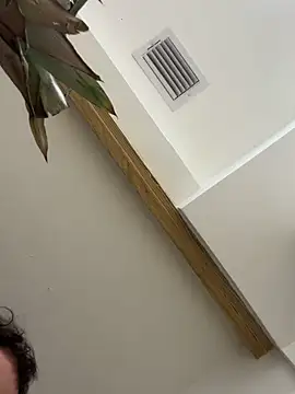 Bicho13132 online show from 5, 10, 2025