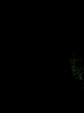 hintly online show from 29, 10, 2025