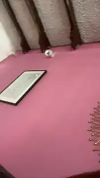 Snapshot of Valu_euphoria chatting on 28, 11, 2025 Valu euphoria online show from 28, 11, 2025