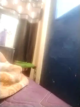 neha007-K online show from 10, 3, 2025