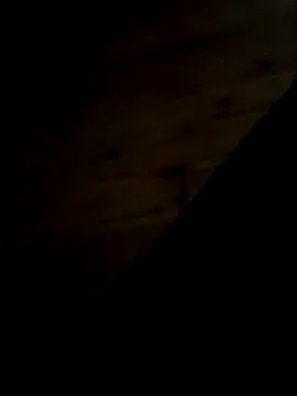 Arabian online show from 11, 2, 2025