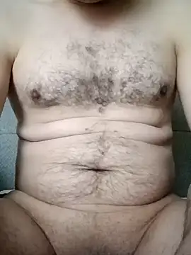 Arabian online show from 12, 3, 2026