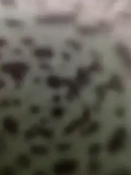 Yashkumar 0697 online show from 13, 10, 2025