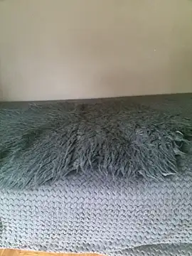 Budibudi5 online show from 13, 9, 2025