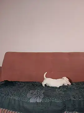 Snapshot of Jehan_Soto chatting on 9, 9, 2025 Jehan Soto online show from 9, 9, 2025