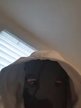 Bigdick420anal online show from 4, 2, 2026