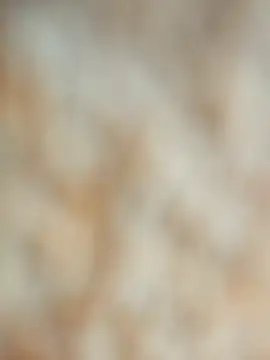 maialani online show from 9, 10, 2025