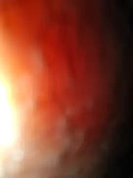 Lezoz  online show from 11, 1, 2026