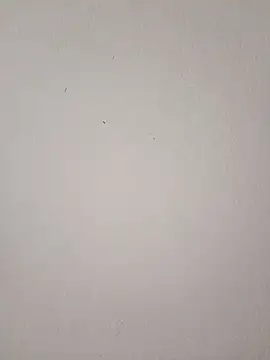 EmmaSulivan online show from 9, 3, 2026