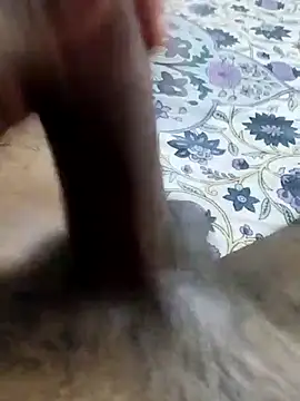 desi pb02 online show from 16, 4, 2026