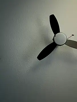 Snapshot of papiamor504 chatting on 5, 11, 2025 papiamor504 online show from 5, 11, 2025