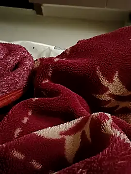 RealcoupleP online show from 25, 11, 2025