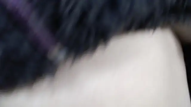 amy royale online show from 18, 3, 2025