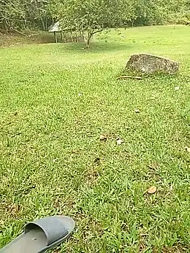 Snapshot of Mycansonhot chatting on 23, 10, 2025 Mycansonhot online show from 23, 10, 2025