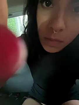 Alice surprise online show from 16, 12, 2025