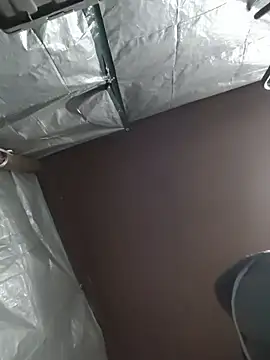 HTXBELLE online show from 5, 12, 2025