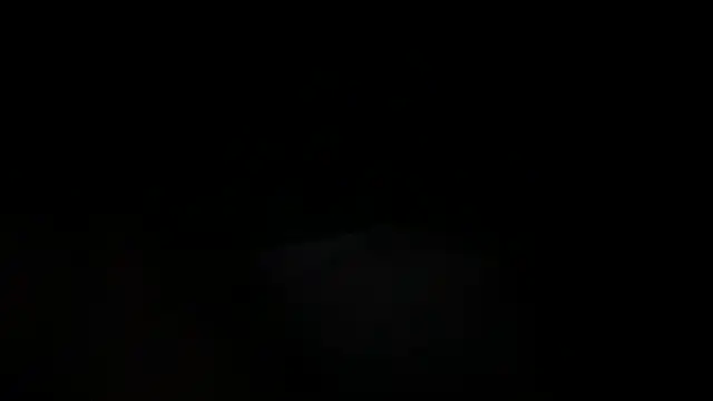 DominantDong online show from 20, 3, 2025