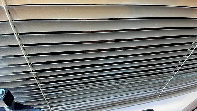 SaraClub JY online show from 21, 10, 2025