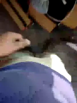 kris478 online show from 17, 11, 2025