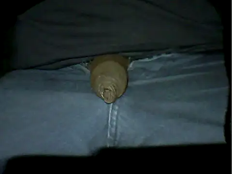 Mthondo-qinile online show from 18, 11, 2025