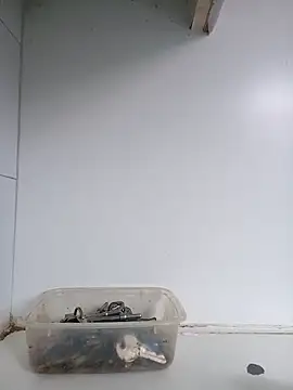 xxTatiannaxx online show from 28, 2, 2025