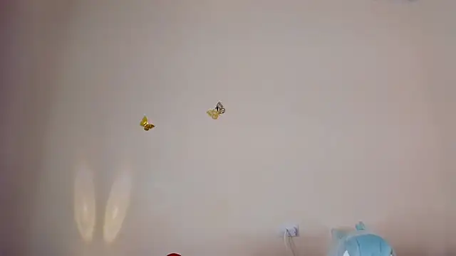 violett 24  online show from 14, 11, 2025