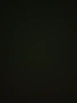 464a-err online show from 12, 11, 2025