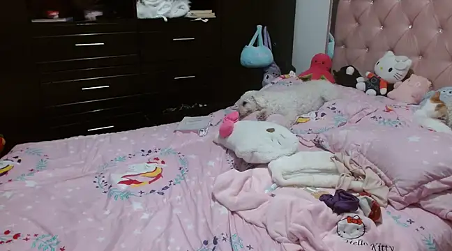 Snapshot of hellokitty__valery chatting on 23, 3, 2025 hellokitty valery online show from 23, 3, 2025