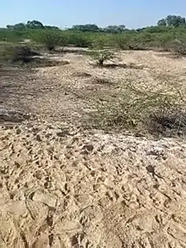 Snapshot of Delhi_BoyBigcock chatting on 11, 3, 2025 Delhi BoyBigcock online show from 11, 3, 2025