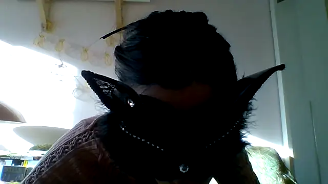 kittysissy online show from 23, 2, 2025