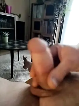 Snapshot of Davestco31 chatting on 12, 3, 2025 Davestco31 online show from 12, 3, 2025