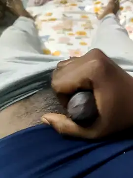 wildfun  online show from 2, 3, 2025