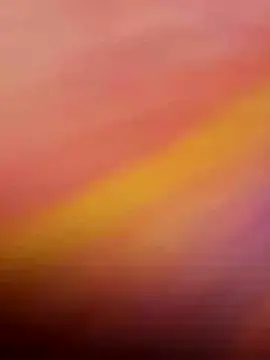 wildfun  online show from 4, 11, 2025