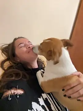 Beverly Hilll online show from 2, 10, 2025