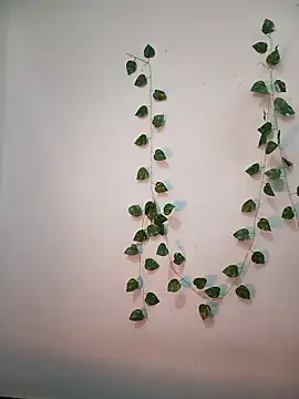 Neha-Bhabhi-Rasily online show from 18, 2, 2026