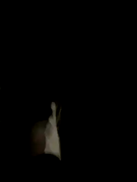 Dasul  online show from 11, 10, 2025