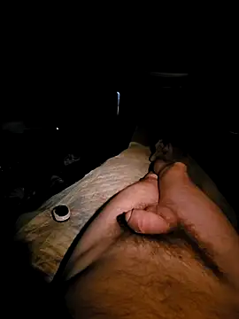 aleksis1313 online show from 19, 3, 2025