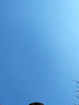 Anthopassif84 online show from 17, 3, 2025