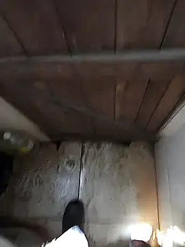 paugrosso553 online show from 8, 9, 2025