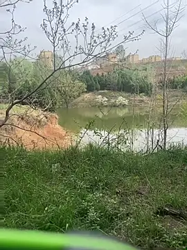 shaovu online show from 6, 4, 2026