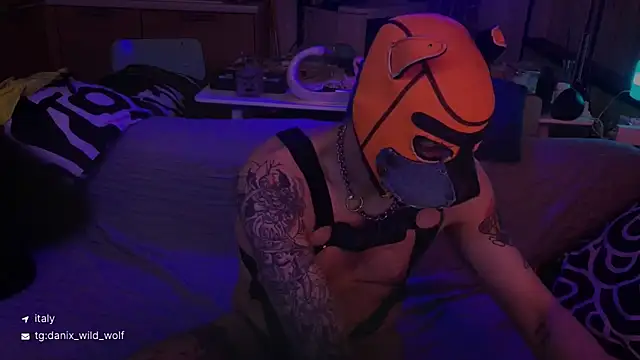 danix wild wolf online show from 15, 3, 2026