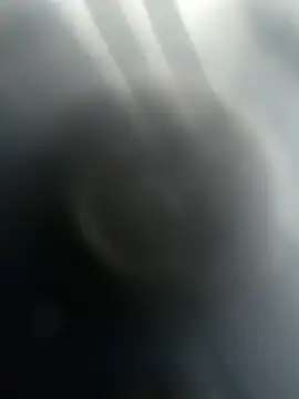 Snapshot of Gotabodiee chatting on 13, 11, 2025 Gotabodiee online show from 13, 11, 2025