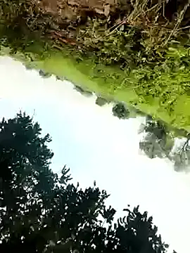 Snapshot of himvilohi08 chatting on 4, 10, 2025 himvilohi08 online show from 4, 10, 2025