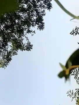 Snapshot of himvilohi08 chatting on 22, 10, 2025 himvilohi08 online show from 22, 10, 2025