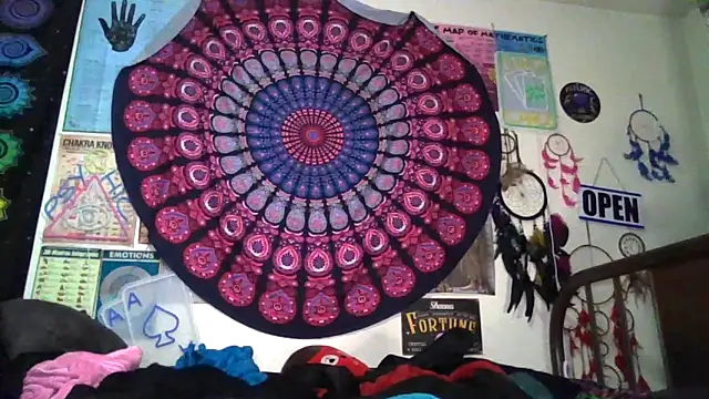 GardeniaFields online show from 12, 4, 2026