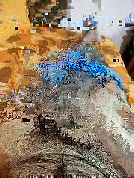 pmr1997 online show from 14, 1, 2026