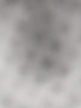 Francescodicristina44 online show from 6, 2, 2026