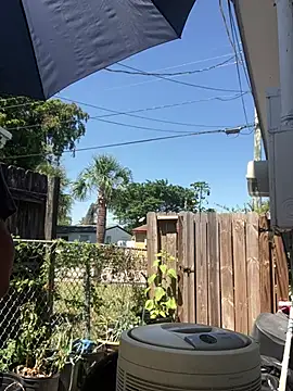 anthonyroth online show from 21, 3, 2025