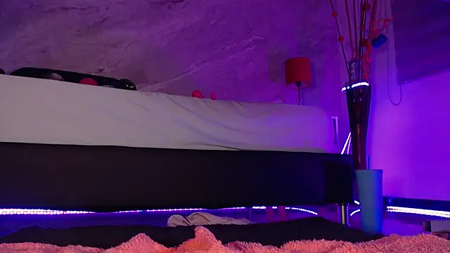 catmolly  online show from 30, 12, 2024