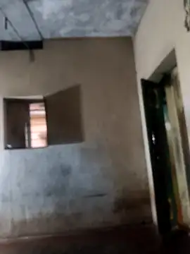 Snapshot of PolarFriend0 chatting on 17, 2, 2026 PolarFriend0 online show from 17, 2, 2026